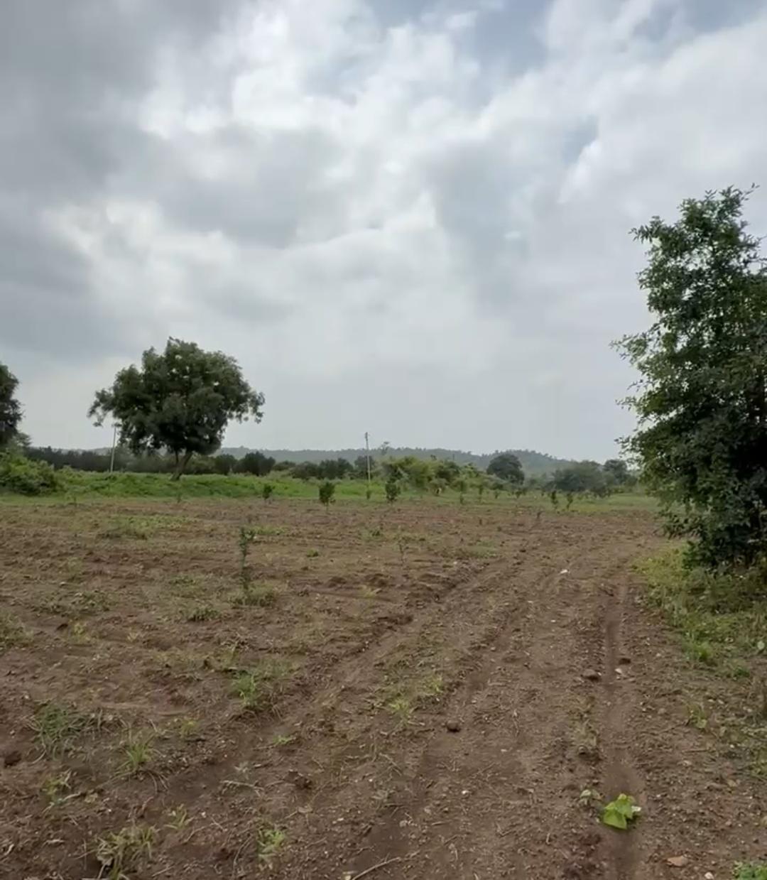 3 Acre Mohgaon Zilpi Gaothan land